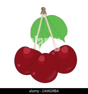 Cherry isolated on white background. Cherry fruit and leaf. Simple cartoon flat organic fruit. Ripe cherry icon, jam, juice label, sign, print. Vector Stock Vector