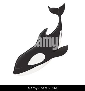 Killer whale(Orcinus orca) cartoon animal design ocean mammal orca flat vector illustration isolated on white background. Stock Vector