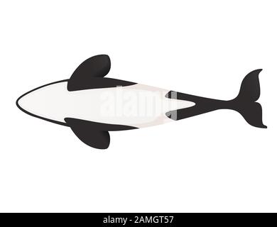 Killer whale(Orcinus orca) cartoon animal design ocean mammal orca flat vector illustration isolated on white background. Stock Vector