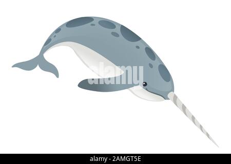 Gray narwhal(Monodon monoceros) toothed whale with tusk cartoon sea character design flat vector illustration isolated on white background. Stock Vector