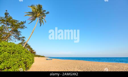 Tropical beach with cloudless sky, Sri Lanka. Stock Photo