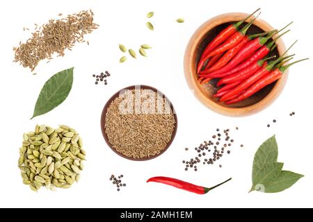 Spice on white isolated background: laurel leaf, red pepper pods, black pepper, cumin (jeera), green cardamom Stock Photo