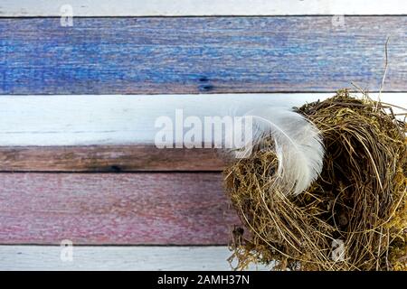 background slightly out of focus painted in white, blue, brown and rose colored stripes. Top view of bird's nest with airy white feather Stock Photo