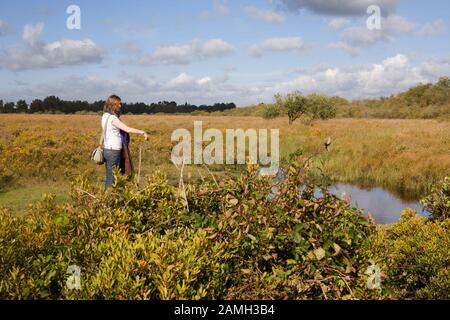 A girl alone in the heathlands of the New Forest, known as Penny Moor, Hampshire, England, UK.  MODEL RELEASED Stock Photo