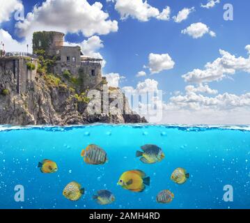 Half underwater photo of tropical paradise with group of colorful fishes. S Stock Photo
