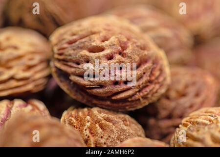 Peach kernels in a close-up Stock Photo