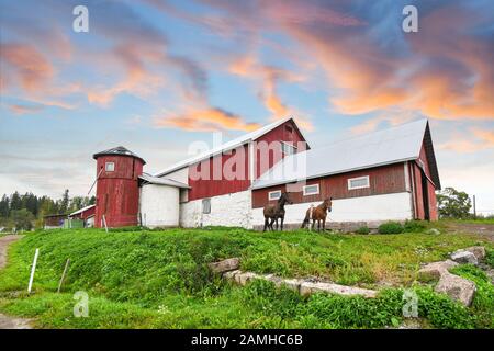 Two horses stand together outside a large red barn and silo in the countryside under a colorful sunset sky. Stock Photo