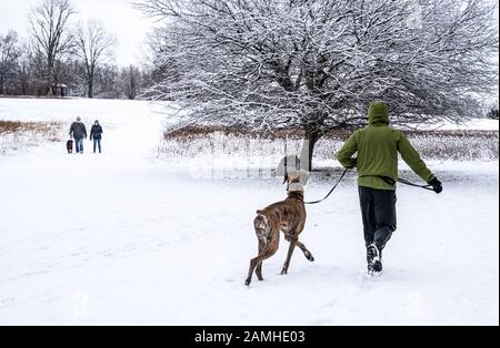 Friends say hello as they cross paths while walking dogs on snowy day in park. Stock Photo