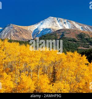 aspen in fall color below lima peaks near lima, montana Stock Photo