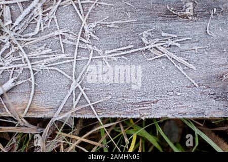 Frozen grass and wooden plank as background and texture in landscape top view Stock Photo