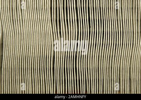 abstract background with surface and structure of the car intake air filter, texture of fiber material of conditioning system element Stock Photo