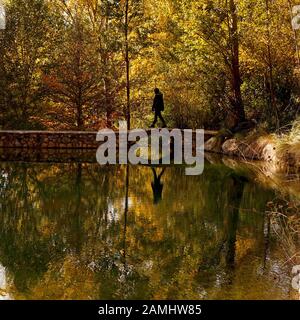 A silhouette of a man crossing a footbridge over a pond in autumn Stock Photo