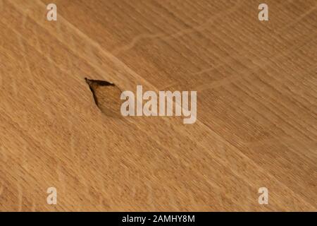 The big wormhole. The texture of natural oak without processing. Countertop made of wood Stock Photo