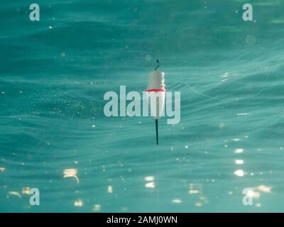 Underwater view of fishing float floating on water surface Stock Photo -  Alamy