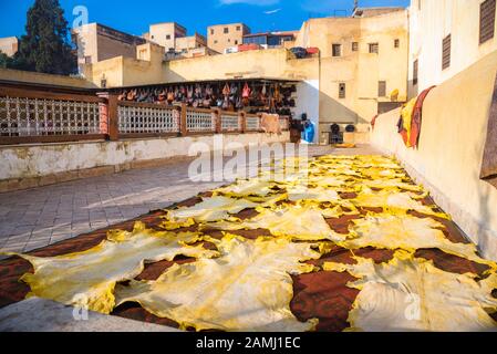 Leather dying in a traditional tannery in the city Fes, Morocco Stock Photo