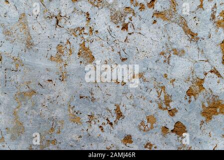 Facing tile - shell rock Derbent unique texture Stock Photo