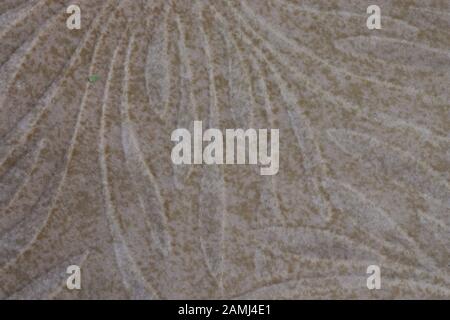 Bright beige texture with a pattern. Background with copy space Stock Photo