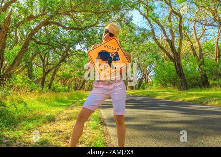 Tourist woman holding Koala sign on Lighthouse Road in Great Otway National Park along Great Ocean Road, Victoria, Australia. Endangered species Stock Photo