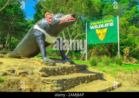 Mole Creek, Tasmania, Australia - Jan 12, 2015: large statue of Tasmanian devil at the entrance of the Trowunna Wildlife Sanctuary, a world leader in Stock Photo