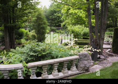 Cement railing and border planted with various perennial shrubs including Pteridophyta - Ferns in private backyard formal garden in early summer. Stock Photo