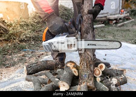 Kiev region, Ukraine - 2019-10-05. Man is sawing a tree with a Stihl saw, sawdust flying in all directions, close-up. Stock Photo