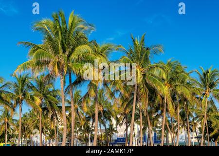 Miami Beach at morning time Stock Photo