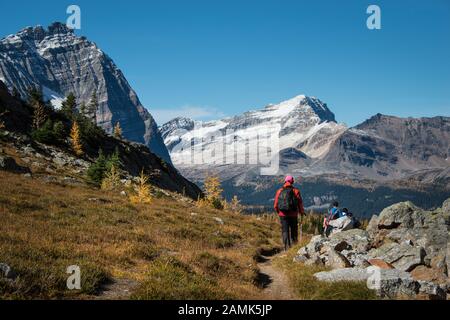 Hiking at Lake O'Hara in Autumn, Yoho National Park, Canadian Rockies Stock Photo