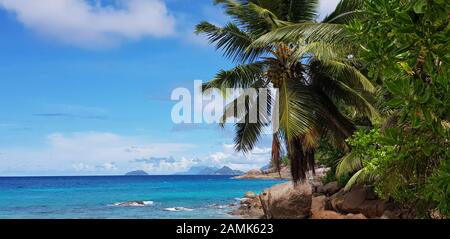 selective focus, tropical island, palm trees Stock Photo