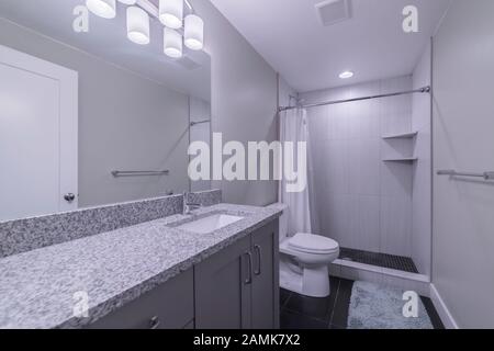 Compact grey decorated bathroom with show bright interiorer Stock Photo