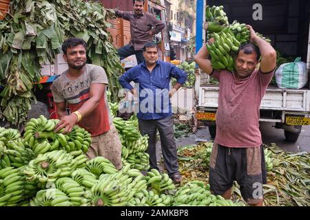 At Matunga market in Matunga, Mumbai, India, workers are unloading a freight of bananas delivered by truck from Tamil Nadu in Southern India Stock Photo