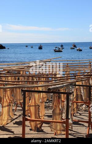 Dried fish rack in the fishing village Camara de Lobos, Portugal, Europe [automated translation] Stock Photo