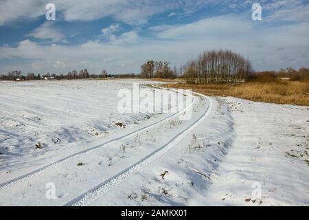 Traces of wheels on snowy dirt road, trees and clouds on blue sky Stock Photo