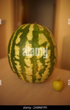 Big ripe watermelon and a small apple on the table. Stock Photo