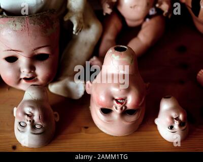 Doll spare parts store in the workshop of doll restorer Hermann Hartmann in Kaufbeuren. [automated translation] Stock Photo