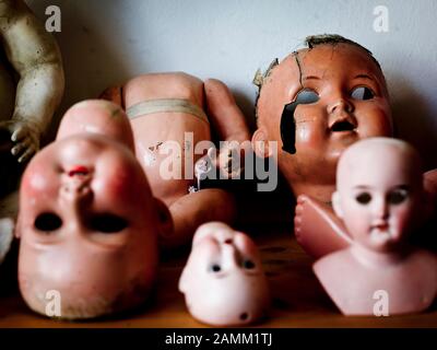 Doll spare parts store in the workshop of doll restorer Hermann Hartmann in Kaufbeuren. [automated translation] Stock Photo