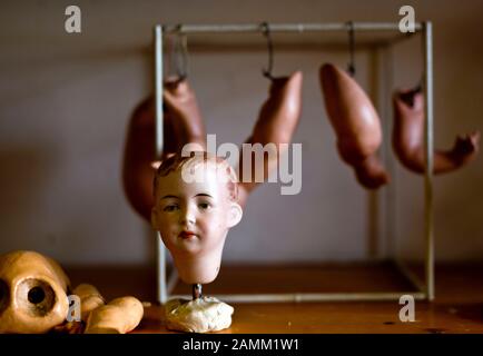 Doll spare parts store in the workshop of doll restorer Hermann Hartmann in Kaufbeuren. [automated translation] Stock Photo