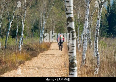 Mountain bikers on their way through the pre-springlike Schönramer Moor in the community of Petting - Rupertiwinkel [automated translation] Stock Photo