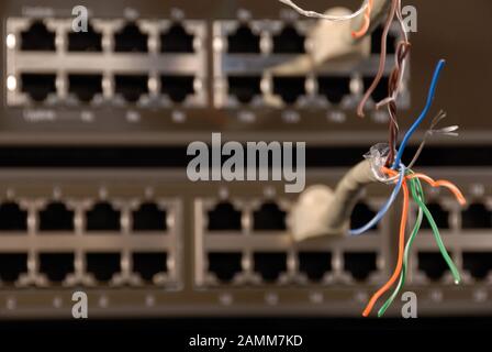 Vandalized network cables in switch hub, broken connection concept. Stock Photo