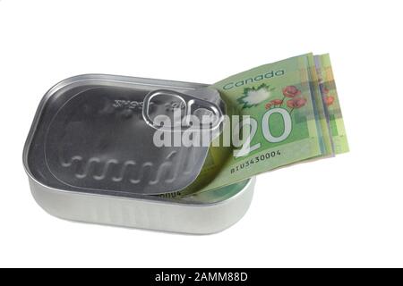 Twenty Canadian dollars in a sardine can isolated on a white background. cutout image for illustration and editorial use. Stock Photo