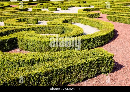 A parterre de broderie in a french formal garden, with hedges of box tree pruned in curling shapes, which ground is covered with white and red gravel. Stock Photo