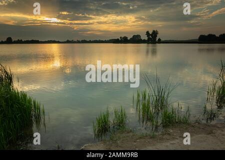 Green reeds growing on the shore of the lake, dark clouds and sunset on the sky Stock Photo