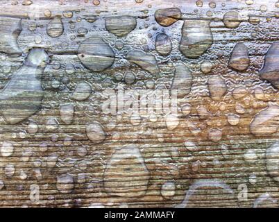 water drops on weathered wooden board repellent due to varnish [automated translation] Stock Photo