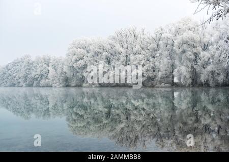 Hoarfrost covers the trees near the Mühlsee in Neufahrn. [automated translation] Stock Photo