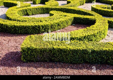 A parterre de broderie in a french formal garden, with hedges of box tree pruned in curling shapes, which ground is covered with white and red gravel. Stock Photo