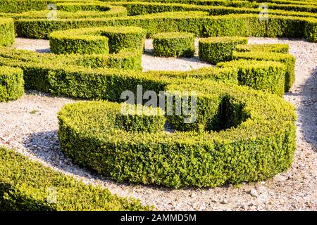 A parterre de broderie in a french formal garden, with hedges of box tree pruned in curling shapes, which ground is covered with white gravel. Stock Photo