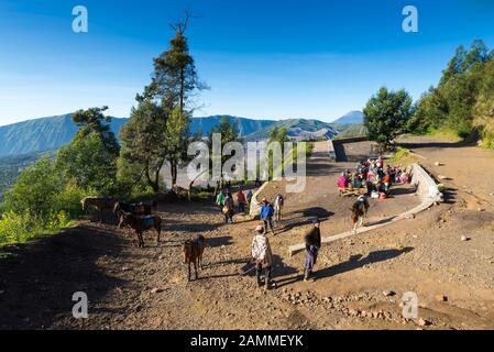 Man with the horse for tourist rent at viewpoint on Mount Penanjakan in Java at Indonesia Stock Photo