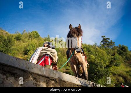 Man with the horse for tourist rent at viewpoint on Mount Penanjakan,The best views from Mount Bromo to the Sand Sea below and the surrounding volcano Stock Photo