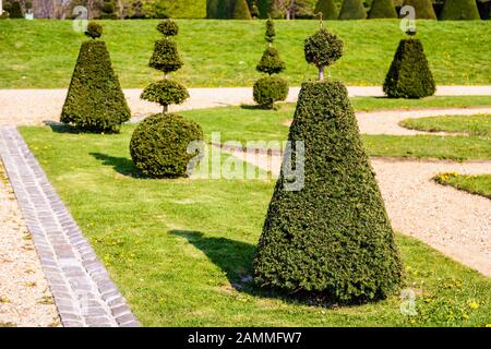 A parterre in a french formal garden with yew trees pruned in elaborate geometric shapes, separated by white gravel paths. Stock Photo