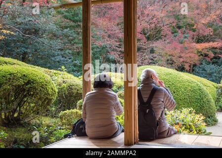 KYOTO, JAPAN - NOV 25 :Tourists enjoy watching maple leaf in zen garden at Japanese temple on November 25,2016 in Kyoto,Japan Stock Photo