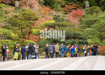 KYOTO, JAPAN - NOV 25 :Tourists enjoy watching maple leaf in zen garden at Japanese temple on November 25,2016 in Kyoto,Japan Stock Photo